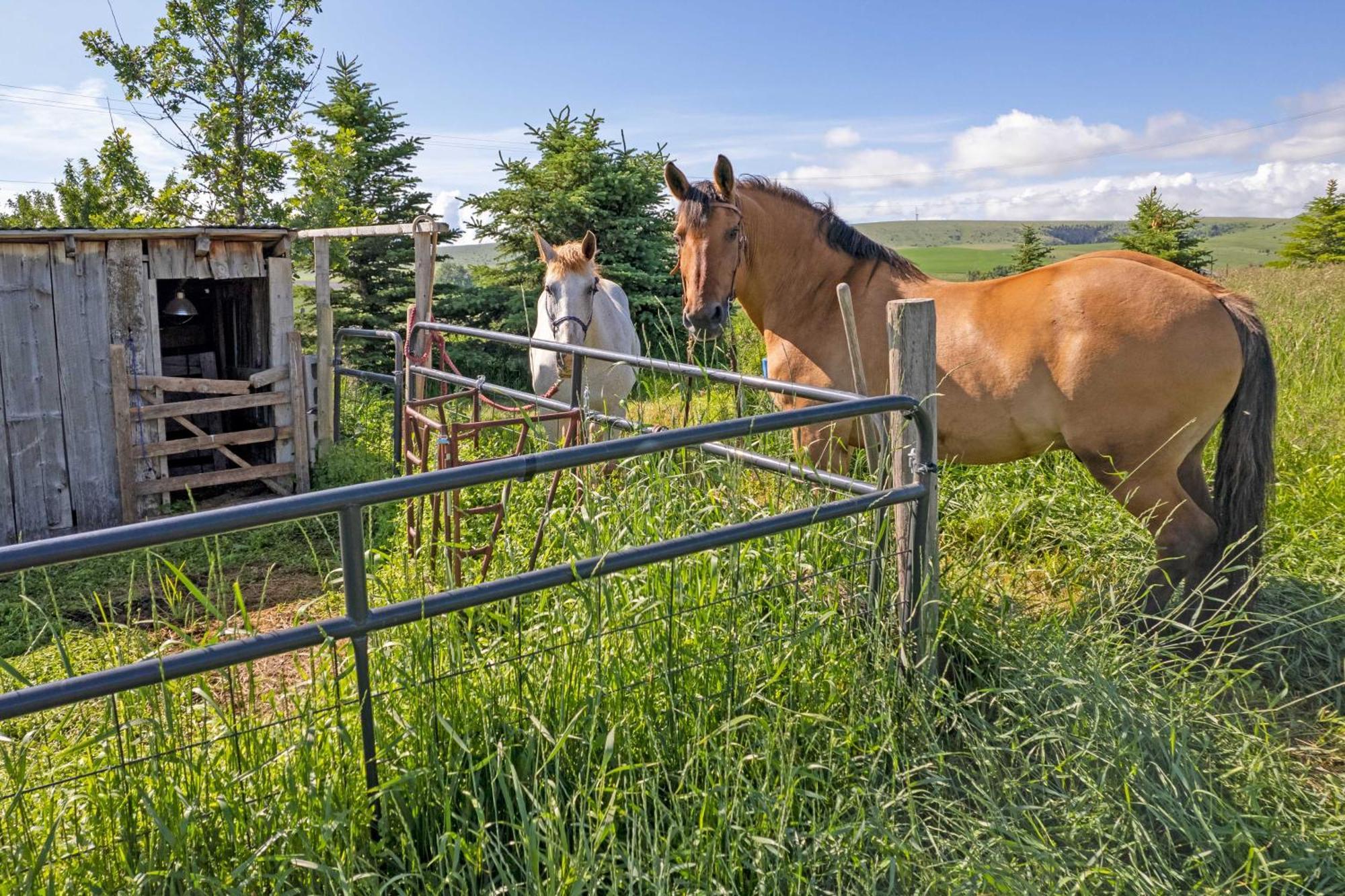 Holiday home Upscale On The Prairie! Bozeman
